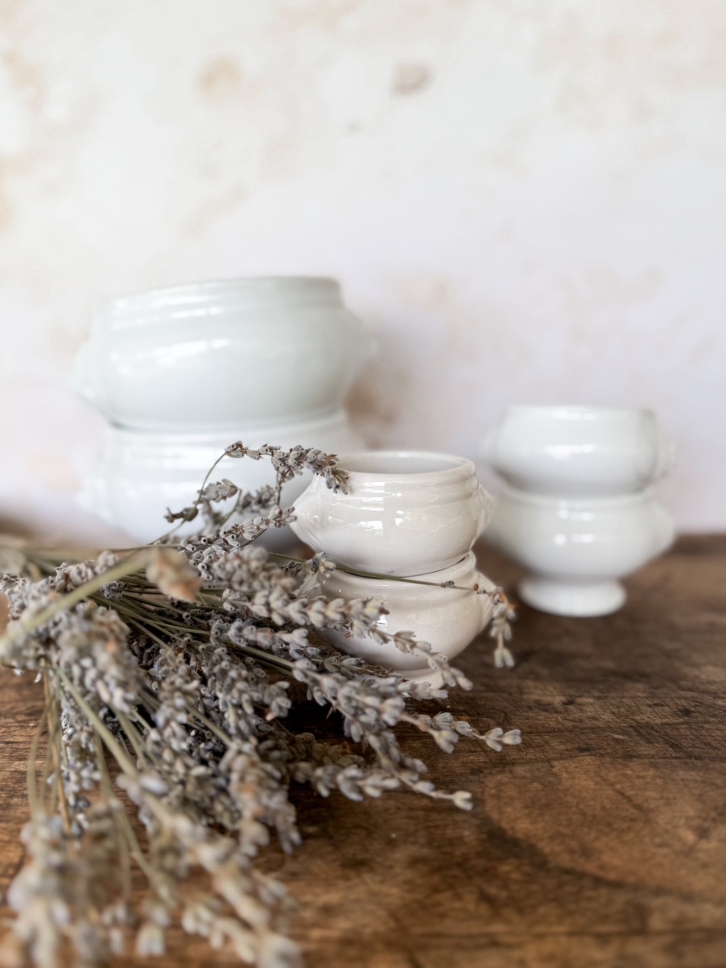 French Lion Head Soup Bowls - Large