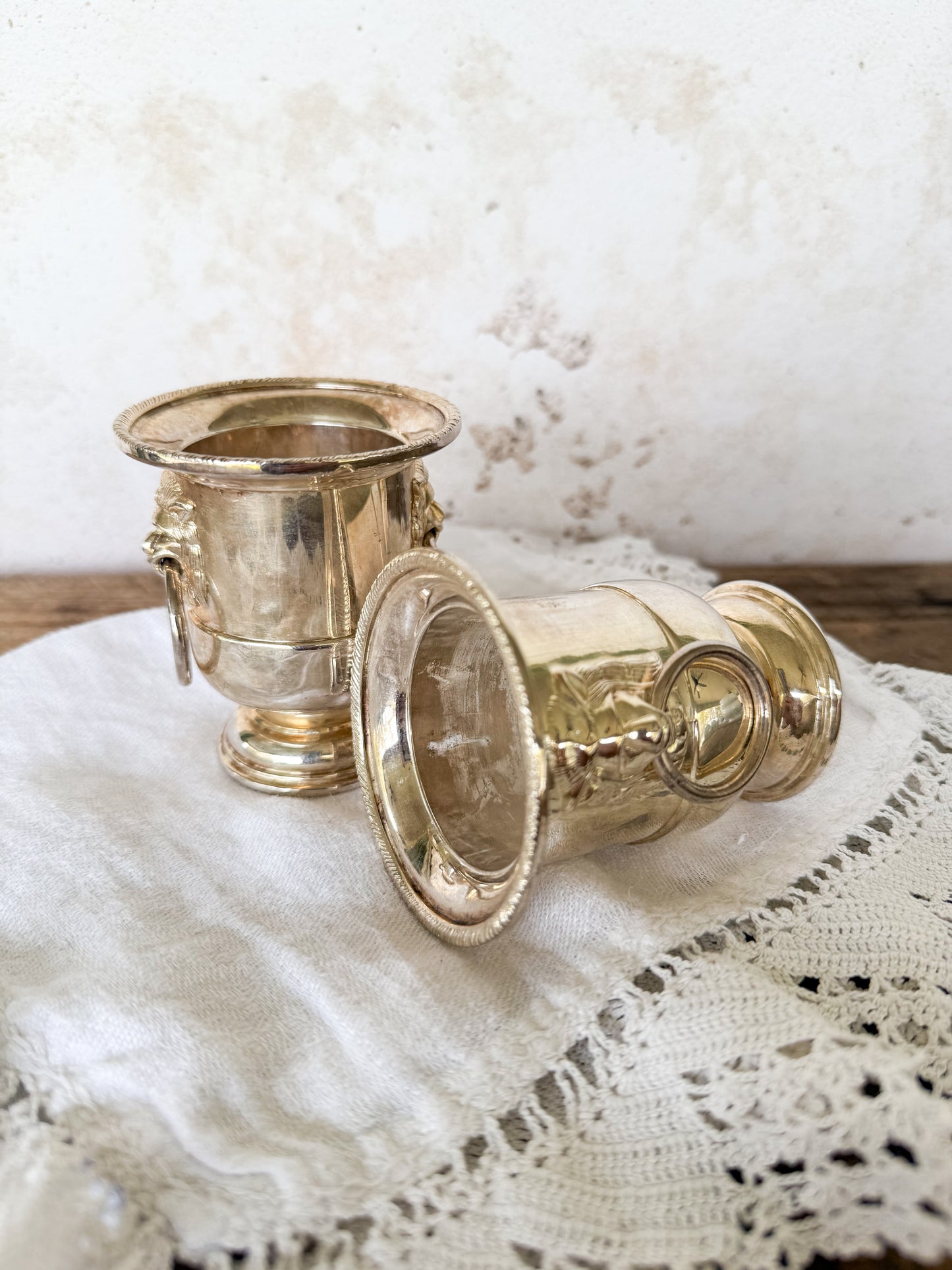 French Silver Lion Pot