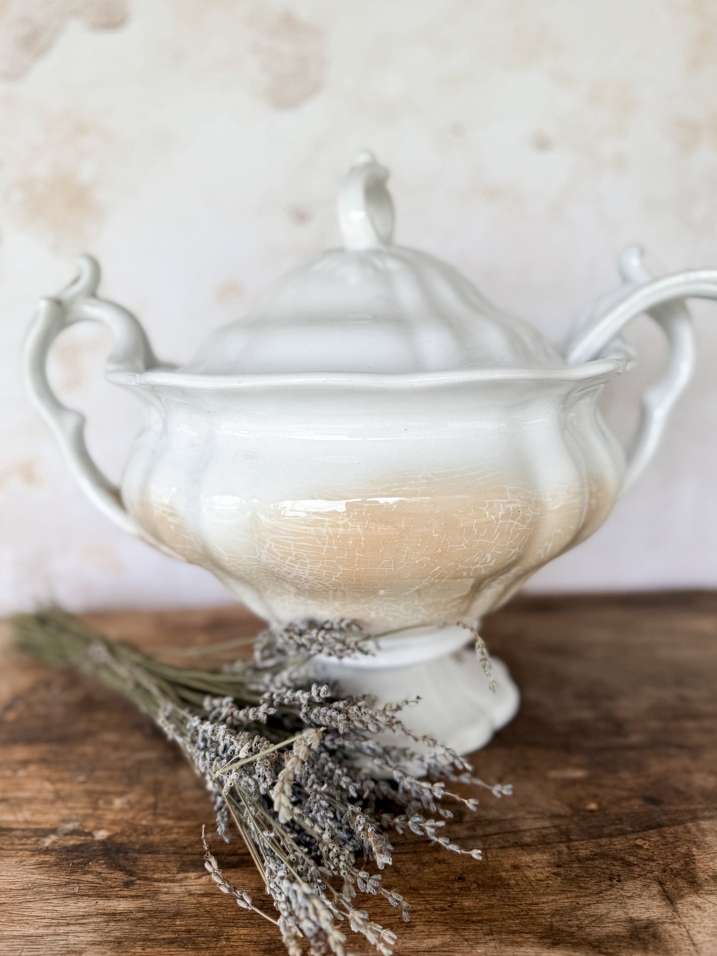 Vintage Petrus Regout Soup Turrine