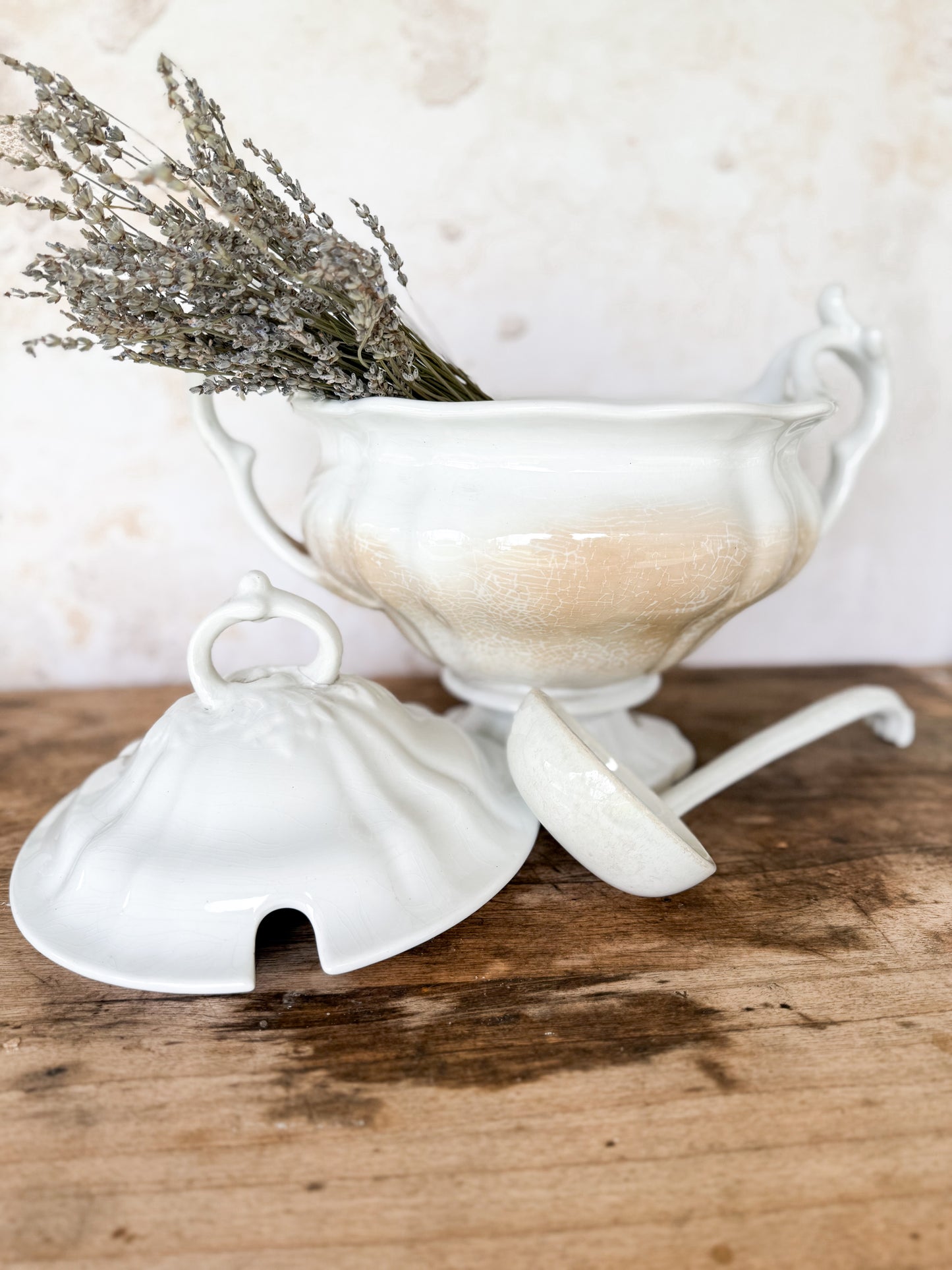 Vintage Petrus Regout Soup Turrine